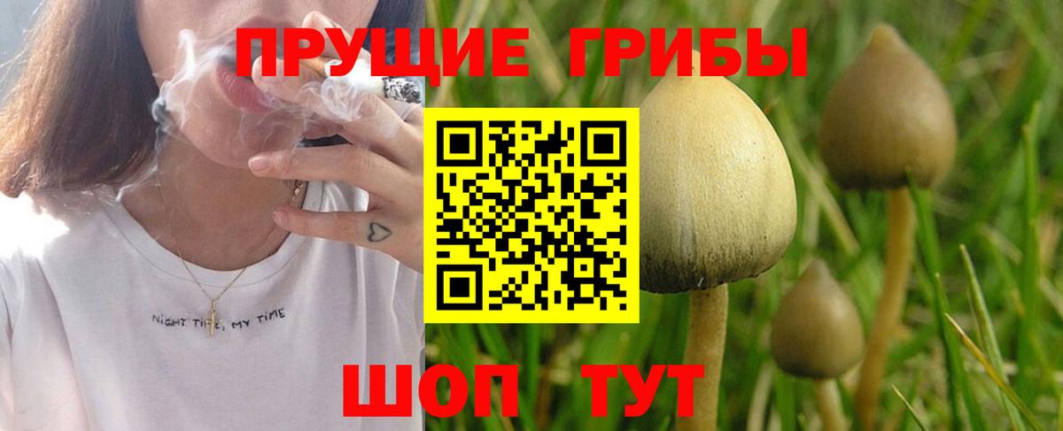 Галлюциногенные грибы мицелий  Галлюциногенные грибы Magic Shrooms  где найти наркотики  Вход с VPN  Тихорецк 